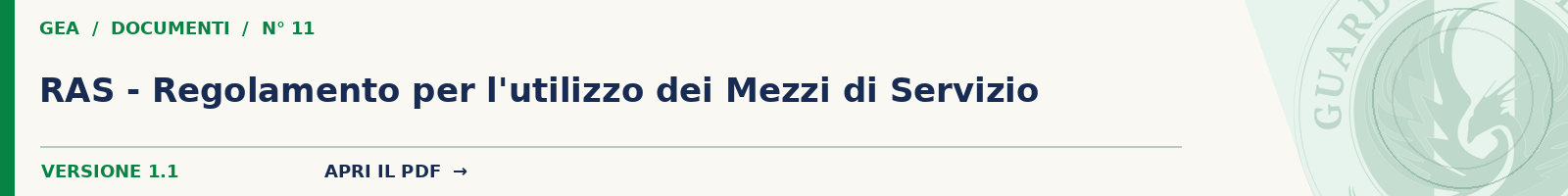 11 RAS - Regolamento per l'utilizzo dei Mezzi di Servizio (Vers. 1.1)