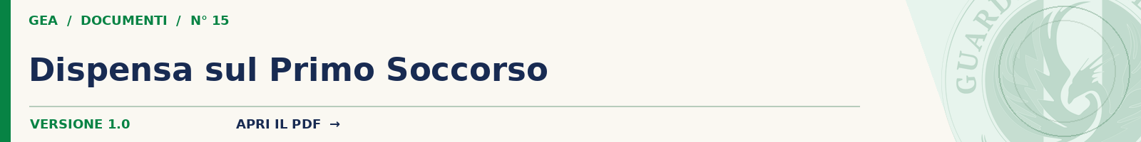 15 Dispensa sul Primo Soccorso (Vers. 1,0)