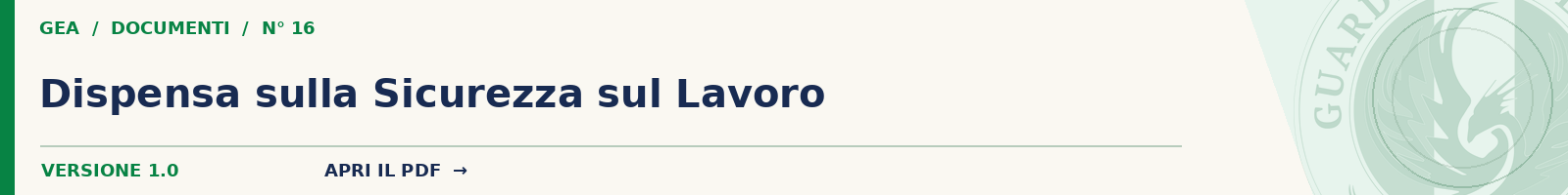 16 Dispensa sulla Sicurezza sul Lavoro (Vers. 1.0)